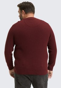 Burgunderfarbener Strickpullover mit langen Ärmeln, gerippten Bündchen und klassischem Rundhalsausschnitt, von hinten vor einem neutralen Hintergrund präsentiert.