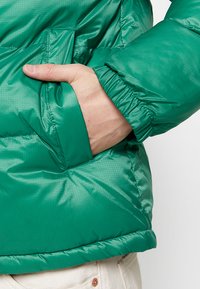 Grüne Puffy-Jacke mit einer glatten, glänzenden Textur, elastischen Bündchen und einer Seitentasche mit verstecktem Zugang.