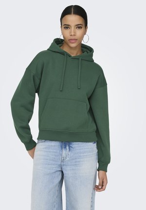 BEST NOOS - Sweat à capuche - pineneedle