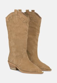 Stivali cowboy in suede color terra con punta affusolata, cuciture decorative e bordi ondulati. Tacco basso impilato con un accento dorato.