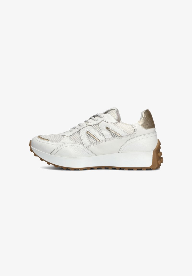 Witte sneaker van mesh en leer, met metallic gouden accenten, een stevige witte zool en een rubberen antislip buitenzool.