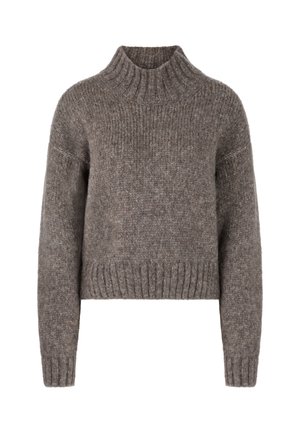 Bruine gebreide pullovertrui met een hoge kraag, lange mouwen en een geribde zoom. De textuur is zacht en iets chunky.