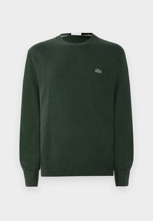 Maglione verde a maglia con collo rotondo, polsini e orlo a coste, che presenta un piccolo logo di coccodrillo ricamato sul petto.
