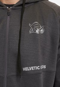Felpa con zip grigia e cappuccio regolabile, caratterizzata da un logo grafico e dal testo "HELVETIC GODS" in bianco sul davanti.