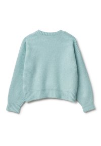 Mátově zelený zkrácený svetr s texturovaným a žebrovaným úpletem. Má široké rukávy a kulatý výstřih bez viditelného hardwaru nebo ozdob.