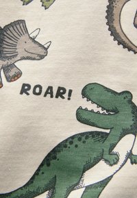 Světle šedá látka s barevnými ilustracemi dinosaurů, včetně zeleného T-Rexe a triceratopse, se slovem "ROAR!" v tučném písmu.