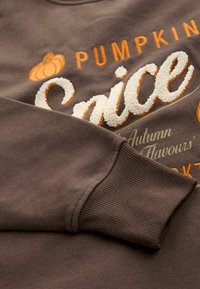 Pruun dressipluusi varrukas, millel on tekstuurne kreemi ja oranži värvi tikandiga tekst "Pumpkin Spice" ning väike kõrvitsagrafika.