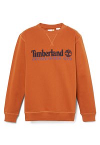 CREW BRUSH - Sweater - umber