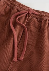 DOCK-REGULAR FIT - Lühikesed püksid - rust