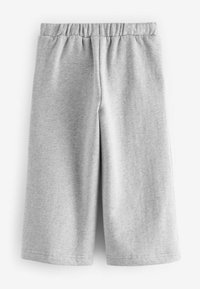 Next WIDE LEG JOGGERS - REGULAR FIT - Tréningruha alsók - grey