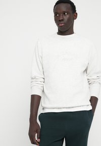 Sweat-shirt gris clair en tissu doux, présentant un col rond et des poignets côtelés. Logo de la marque discrètement imprimé sur la poitrine.