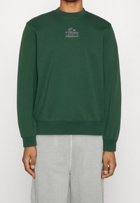 Grön bomullströja med långa ärmar, rundad halsringning och broderad Lacoste-logotyp på bröstet. Mjuk textur, avslappnad passform och ribbade ärmslut.