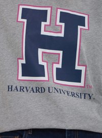 Calliope COLLEGE - T-shirt con stampa - gris