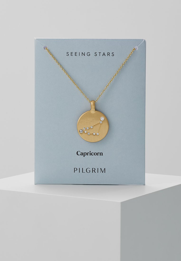Pilgrim CAPRICORN - Necklace - gold 