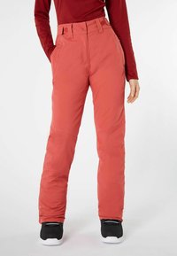 Protest - CARMACKS - Ski pants - rusticrust Thumbnail Image 1
