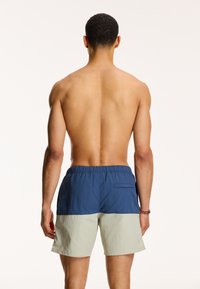 Mannen zwemshorts in blauw en lichtgroen, met een elastische tailleband en een achterzak. Gemaakt van lichtgewicht, textuurstof.