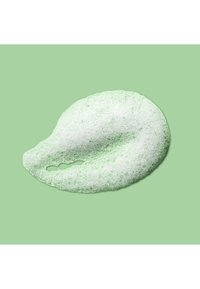 Texture mousse vert clair ressemblant à une feuille, avec des bulles créant une apparence douce et duveteuse sur un fond vert pastel.
