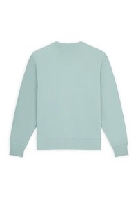 Sudadera verde menta claro con cuello redondo, mangas largas, puños y dobladillo acanalados. Fabricada con una tela suave y lisa con costuras mínimas.