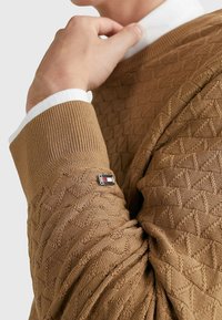 Bruine gebreide trui met een gestructureerd ruitpatroon en ribbelmanchetten. Bevat een klein logoaccent op de mouw.