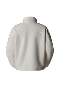 The North Face TNF FLEESKI - Fleecetröja - white dune