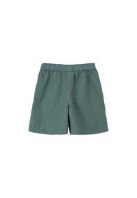 Shorts en lin verts avec une taille élastique, présentant une coupe décontractée et une texture lisse. Idéaux pour une tenue décontractée.