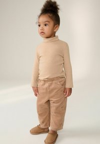Next ROLL NECK REGULAR FIT - Pulover - tan brown
