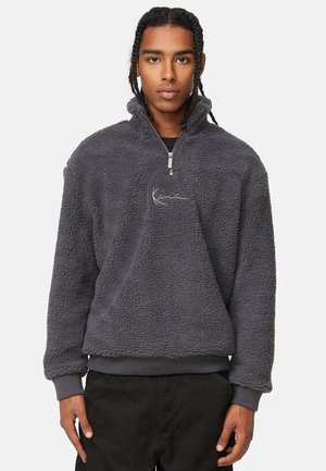 SMALL SIGNATURE TEDDY TROYER  - Fleece jumper - anthracite