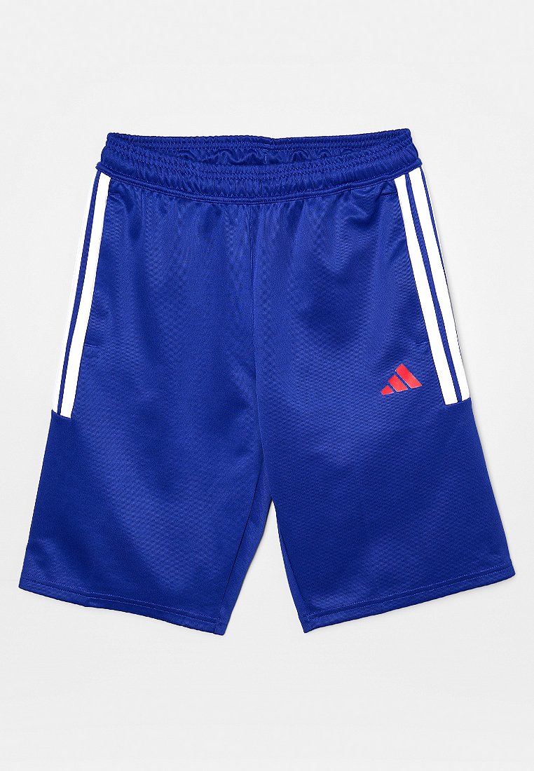 adidas Sportswear Korte broeken blauw adidas Sportswear Korte broeken blauw