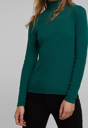 Vrouw draagt een aansluitende, lange mouwen teal coltrui met een zwarte broek tegen een neutrale achtergrond.