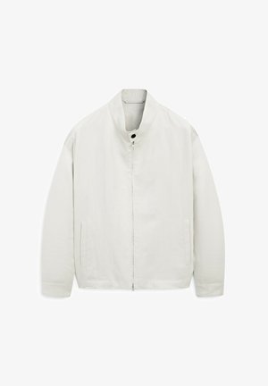 Hellgraue Jacke mit Stehkragen, Frontreißverschluss, zwei Seitentaschen und glatter Textur. Einfaches Design ohne sichtbare Muster.