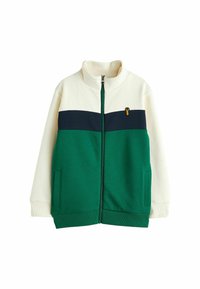 Next STAG REGULAR FIT - Tröja med dragkedja - green blue