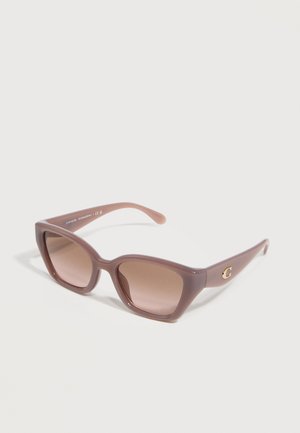 Lunettes de soleil carrées marron avec des verres dégradés et un logo "C" doré sur les branches, présentées sur un fond blanc.