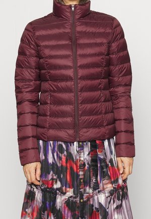 Anna Field Dunjacka - dark red