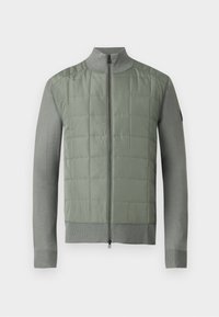 KELBROOK  ZIP CARDIGAN - Gilet - sage green