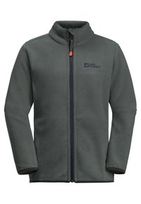 Jack Wolfskin Fleecejacka - slate green