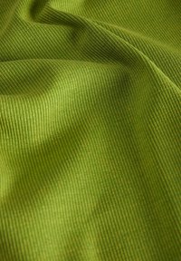 JJXX JXFRANKIE WASH TEE - T-shirt - bas - kiwi