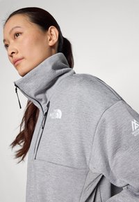 The North Face INTEREST 1/4 ZIP - Sweatshirt - pale grey heather/meld grey