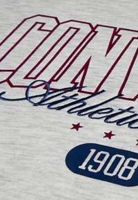 Tecido de algodão cinza com letras em marrom profundo e azul-marinho em destaque. Inclui costura decorativa e estrelas acima de um oval azul com o ano 1908.