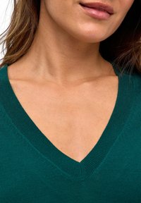 Parte inferiore del viso di una donna, collo e parte superiore del petto, che indossa un maglione a V di colore teal, con lunghi capelli castani visibili ai lati.