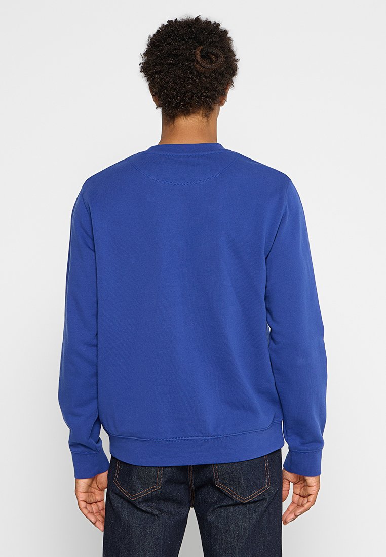 Sweat-shirt bleu en mélange de coton, avec des manches longues, un col rond, et des bord-côtes au niveau des poignets et de l'ourlet. Texture lisse sans motifs visibles.
