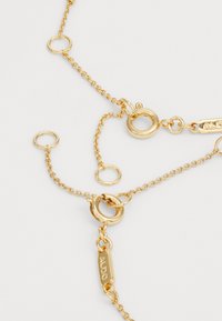 Collana in tonalità oro con catena caratterizzata da anelli circolari, finitura testurizzata e un piccolo tag con la scritta "ALDO" incisa. Design elegante con dimensioni degli anelli variabili.