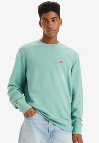 Mintgroene sweatshirt gemaakt van zachte stof. Heeft een ronde halslijn en geribbelde boorden, met een klein rood Levi's logo op de borst.