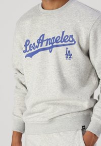 Felpa grigia in pile con la scritta "Los Angeles" e "LA" in lettering blu, con polsini e orlo a costine, texture morbida e vestibilità casual.