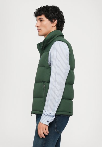 Joven vestido con una camisa de rayas azules y un chaleco sin mangas acolchado de color verde oscuro, de pie de perfil contra un fondo blanco liso.