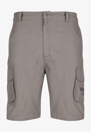 Pantalones cortos cargo grises confeccionados con tejido duradero, que presentan dos bolsillos laterales, un cierre frontal con botón y una textura suave y lisa.