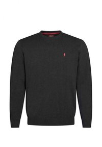 Maglione lavorato a maglia grigio scuro con collo a giro, polsini a coste e un piccolo logo rosso sul lato sinistro del petto. Realizzato in un tessuto morbido.