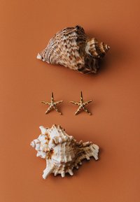 Orelia STATEMENT EMBELLISHED STARFISH STUD EARRING - Naušnice - gold-coloured