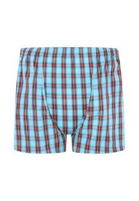 Ej vald, frantic plaid teal