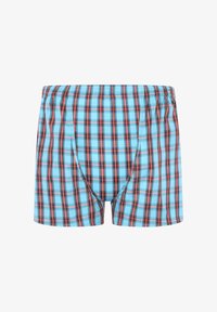 Ej vald, frantic plaid teal