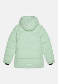 Icepeak LORIS  - Skijaška jakna - aloe
